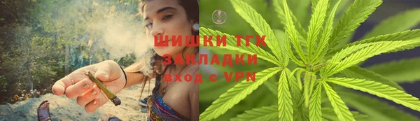 индика Горнозаводск